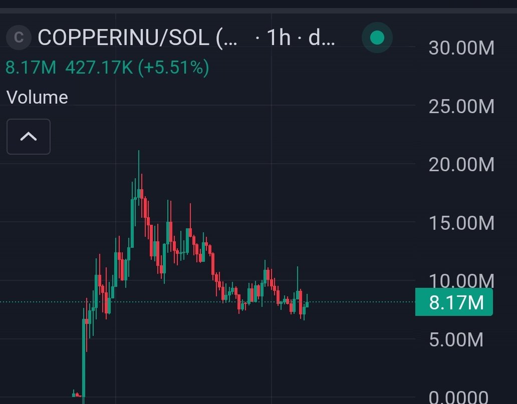 Again, thesis remains the same with $copperinu. I think the big consolidation this early is good for continuation. Better distribution. 

Just ranging, really. Shows strength for a new coin. Conviction seems to be growing. 

Still early, imo. Could be one that people think they