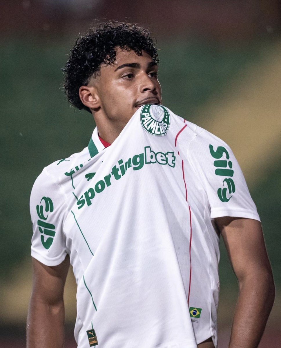 Gustavo Terini tweet media