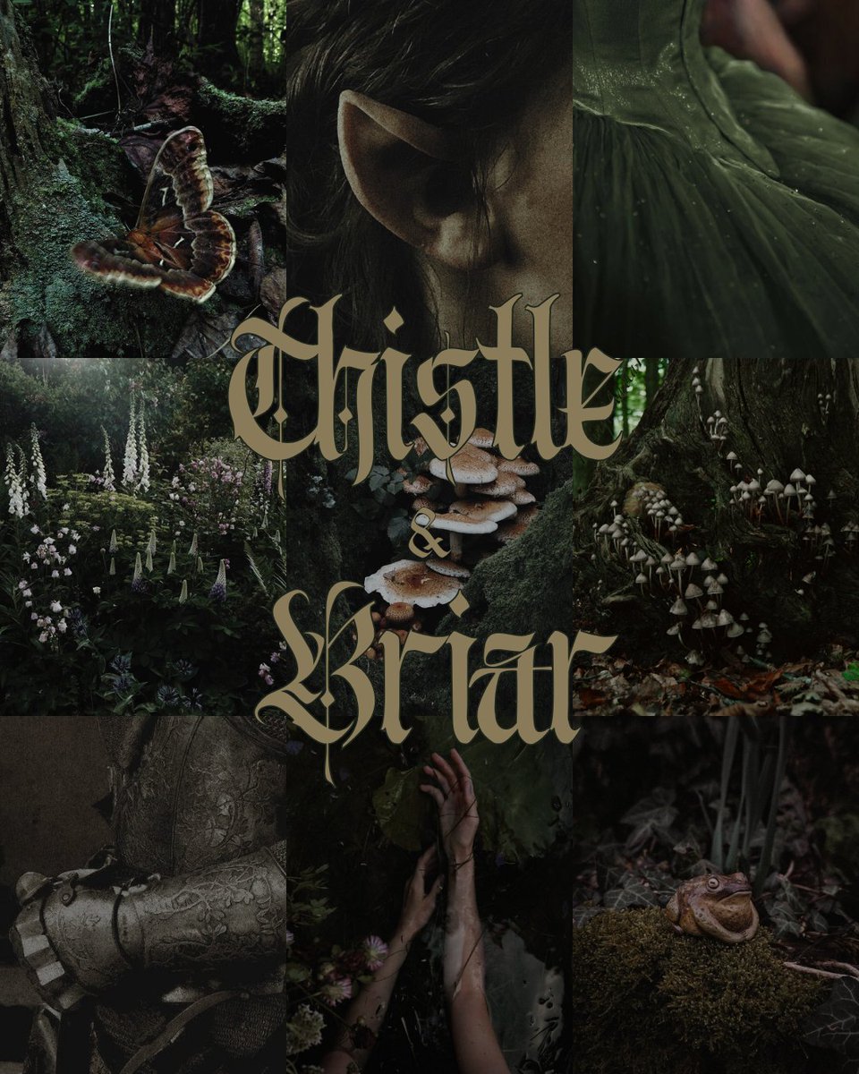 Rory | Author *₊˚☕୧ tweet media