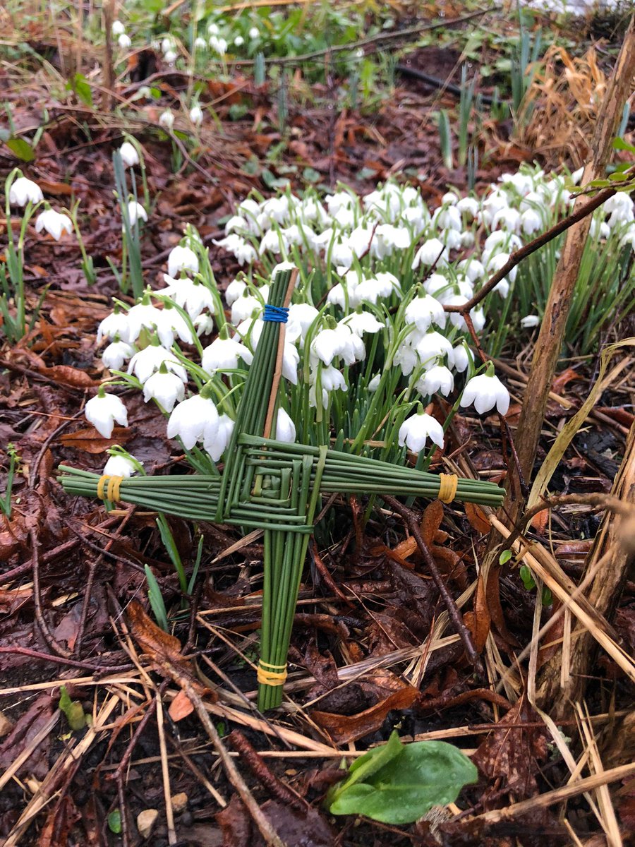 St.JamesMallow tweet media