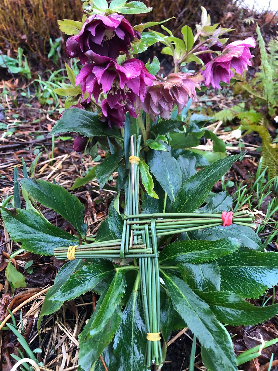 St.JamesMallow tweet media