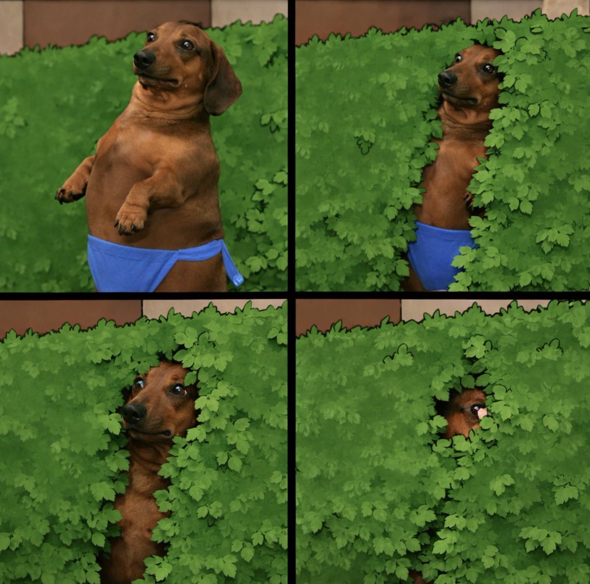 thicc-fi is upon us 

subo.meme

$subo 

2GNaDZvN186Cue7H8dS1vHXqvivqQtvffG6eAUbSpump