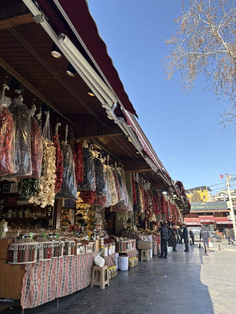 ayşe tweet media