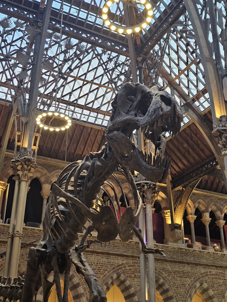 Dr G B Turner ⚛️ tweet media