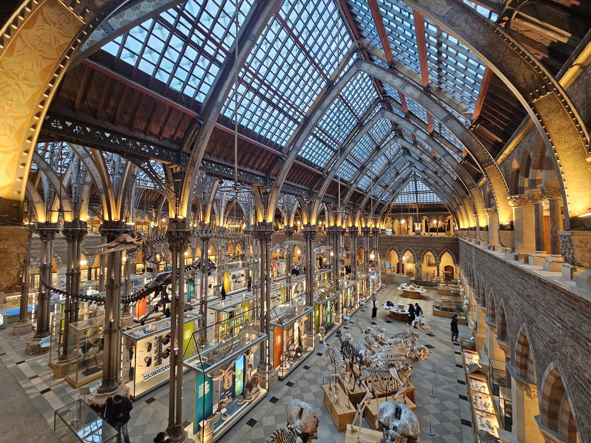 Dr G B Turner ⚛️ tweet media