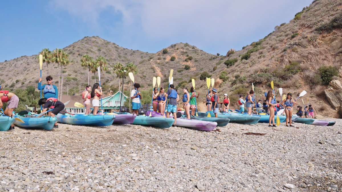 Catalina Island Marine Institute tweet media