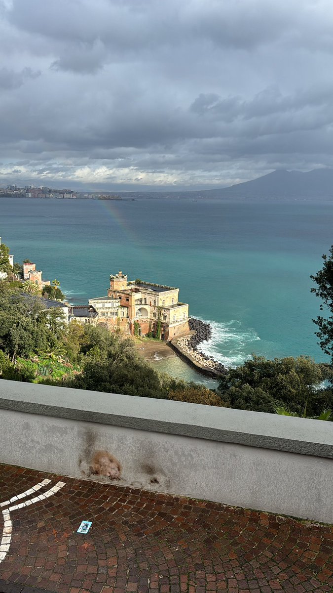 _TaylorCFC's tweet photo. 🇮🇹🇮🇹 https://t.co/sKDtLxYW4W