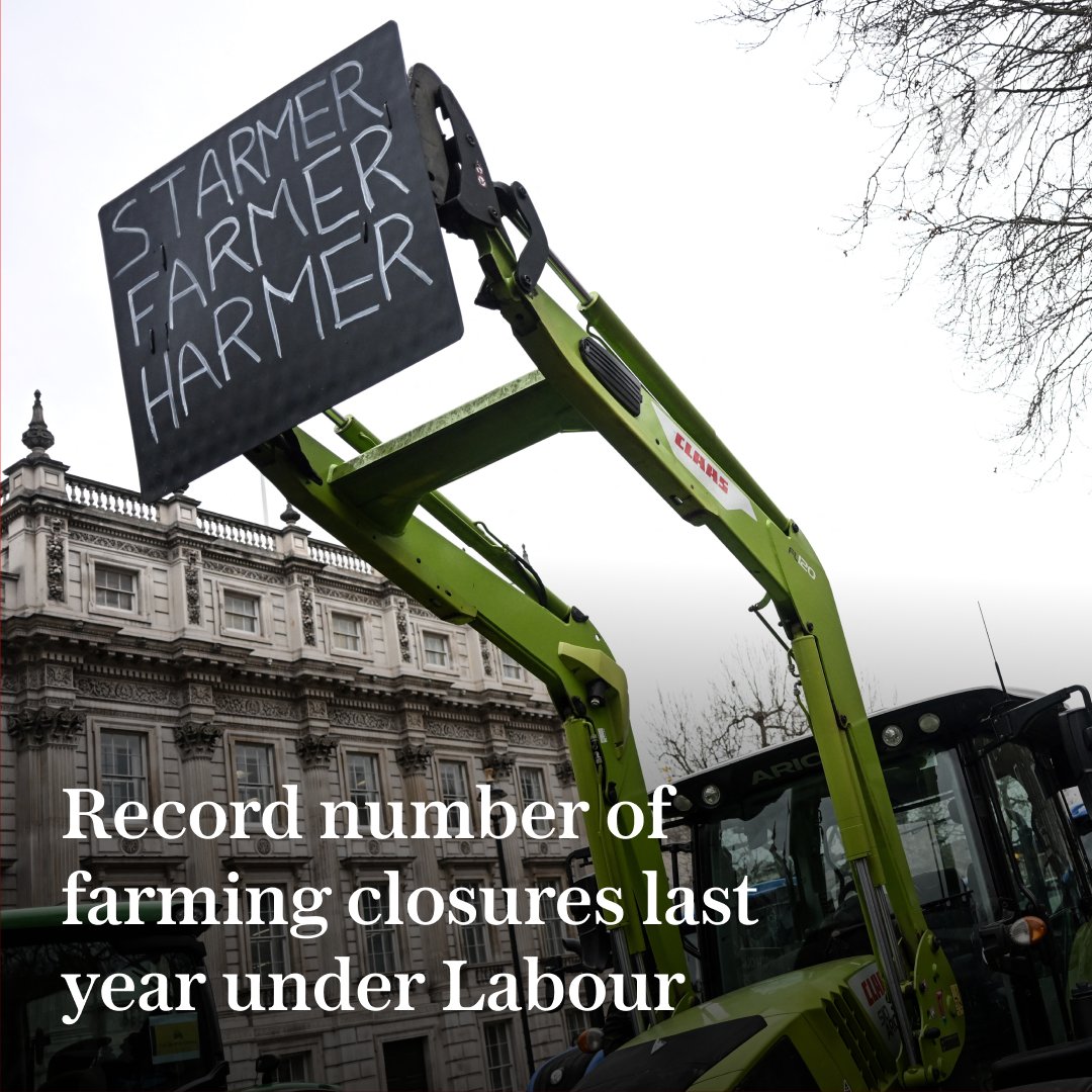 Telegraph Business tweet media