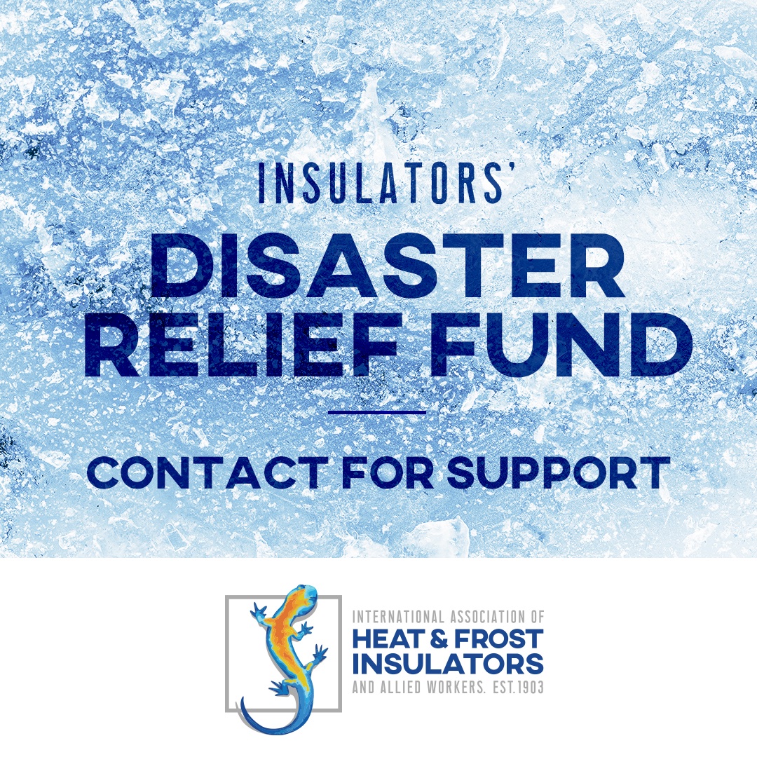 Insulators Union 🦎 tweet media