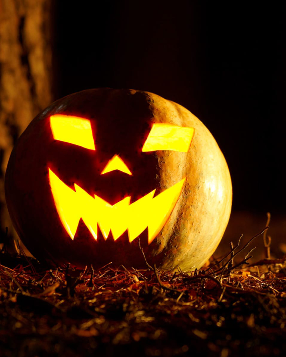 267 days until Halloween 2026! 🎃
Are you ready?
#Halloween