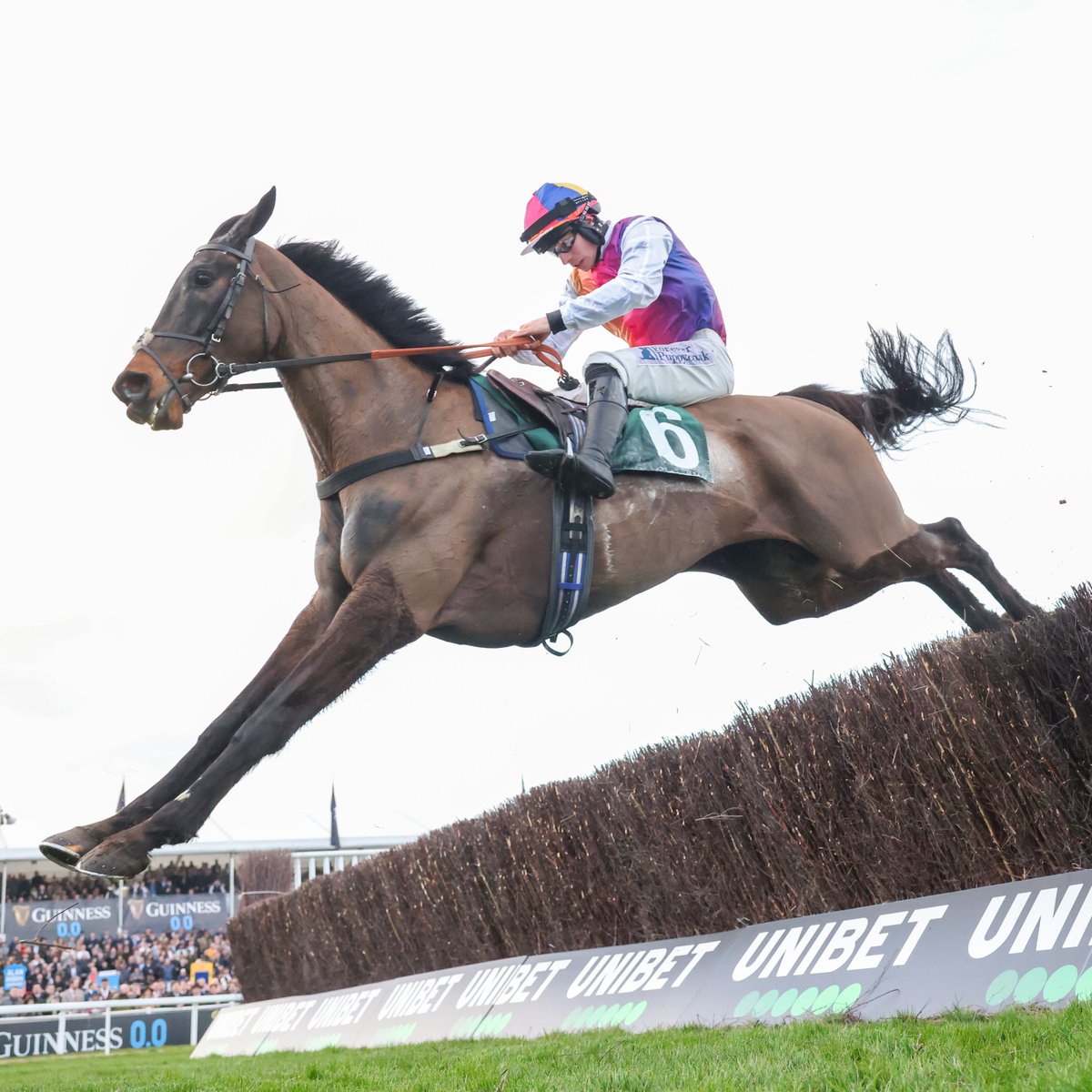 Racing Post tweet media