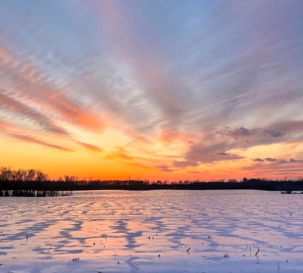 visitwpkw's tweet photo. 🌅❄️ From golden sunsets to snow-kissed fields, King William’s countryside is beautiful in every season. There’s a quiet magic here, no matter the weather.

Ready to slow down?
Book your getaway today and find your peace in WPKW. 🌾✨

https://t.co/9b0Hp77s0N

📸 Jennifer Moore https://t.co/4bzTT3DTJQ