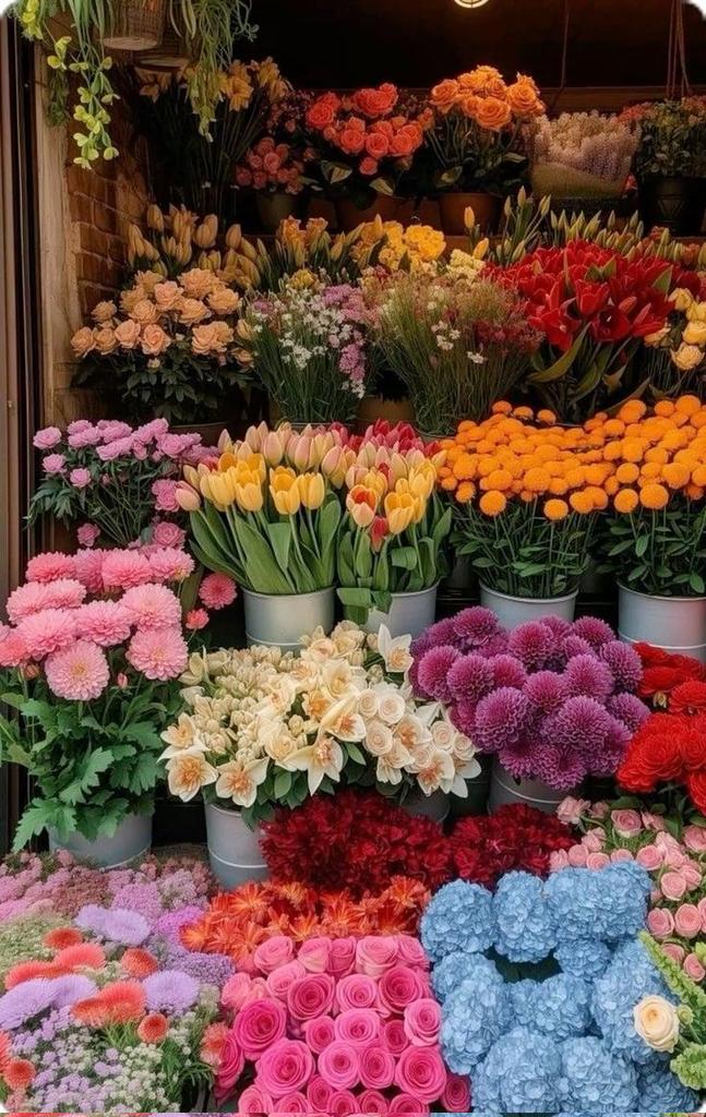 The Dream Vault (@thedream_vault) on Twitter photo 