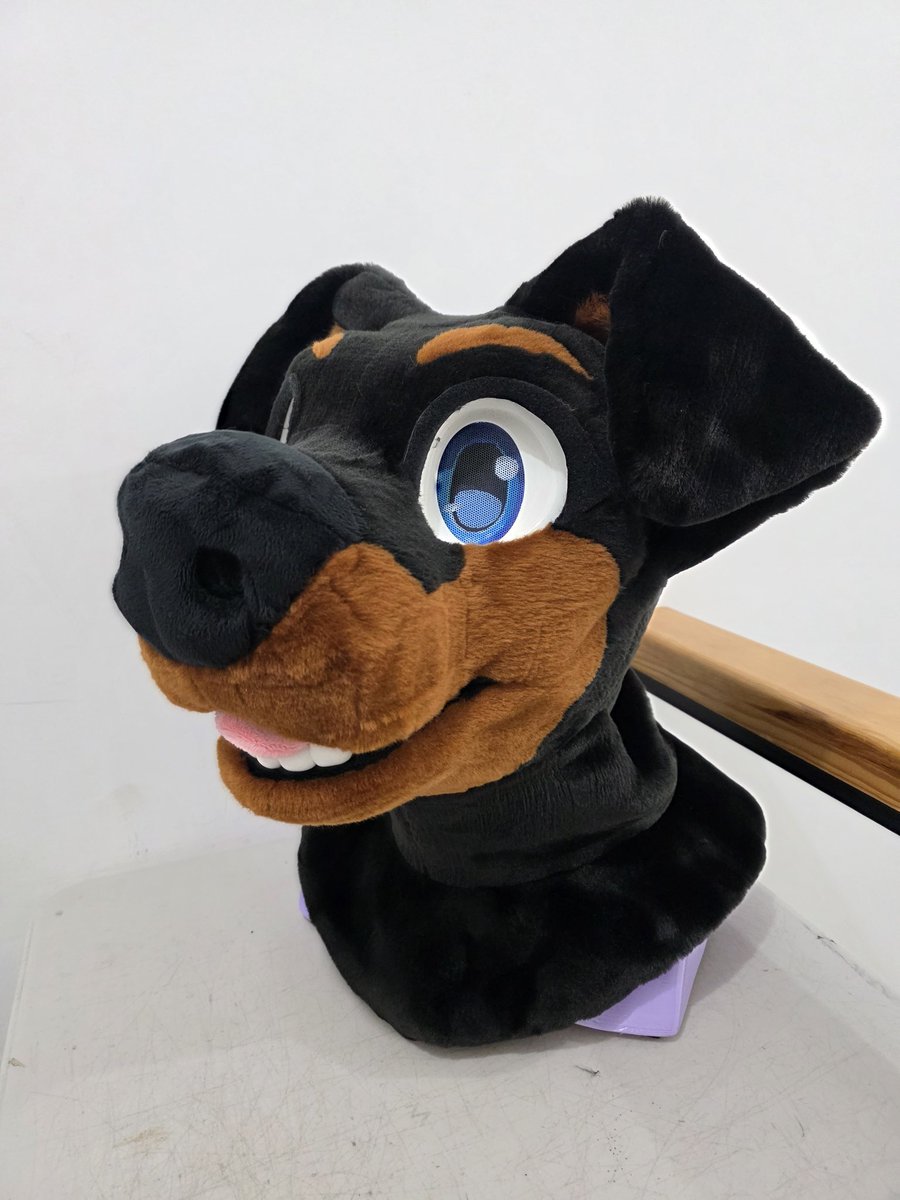 Chonky_Tiel's tweet photo. A month ago, we finished and shipped this plantigrade fullsuit to its new home! 🇦🇺
This is Tyson, a handsome Rottweiler foam base commission 🐦
We hope to see photos of him soon!
#ChonkyTiel #ChonkyTielFursuits #Furry #FurryFandom #chonky_tiel_creations #FurMaker https://t.co/DyxhXyChtf