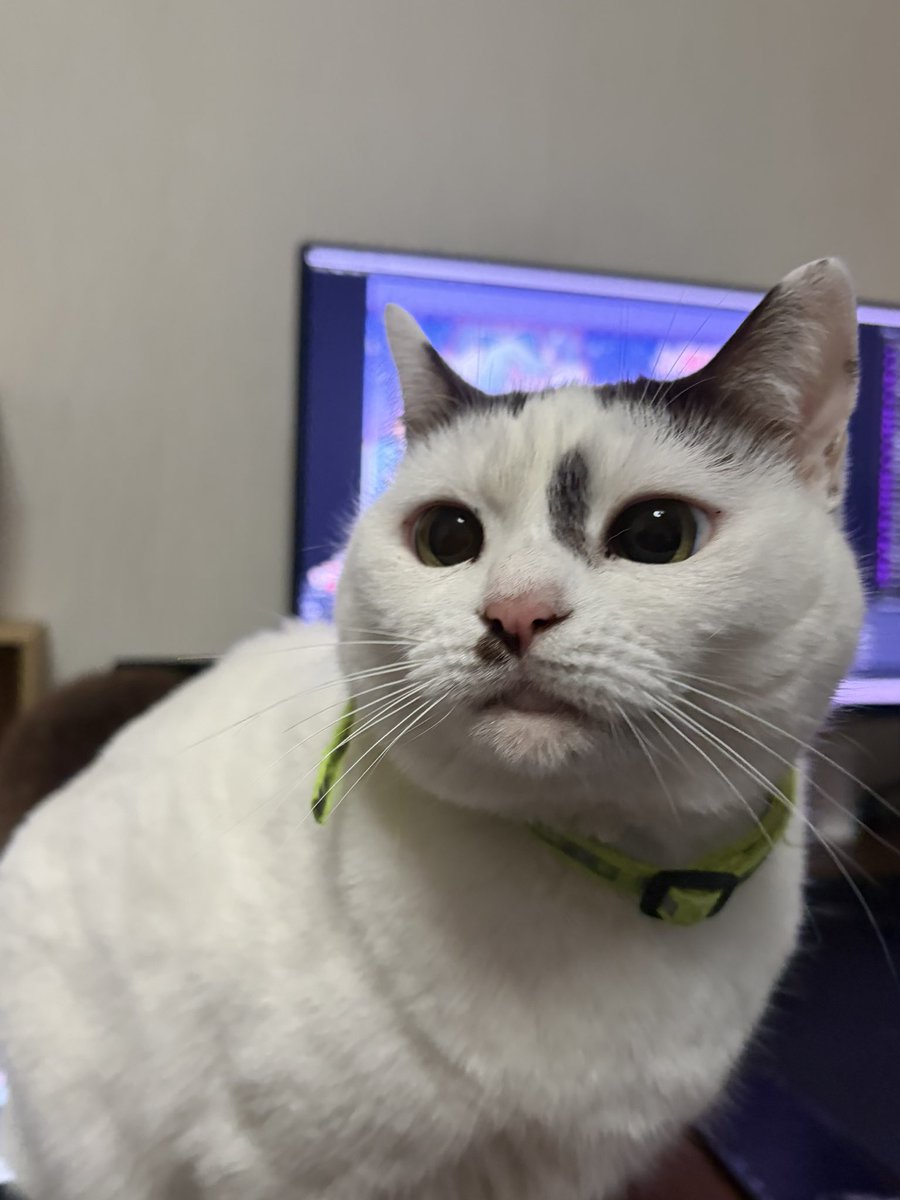 にゃはははは  番宣CM（30秒）】『忍ばない！クリプトニンジャ咲耶 弐ノ巻』【1月9日