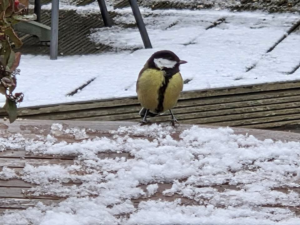 Fup Boon tweet media