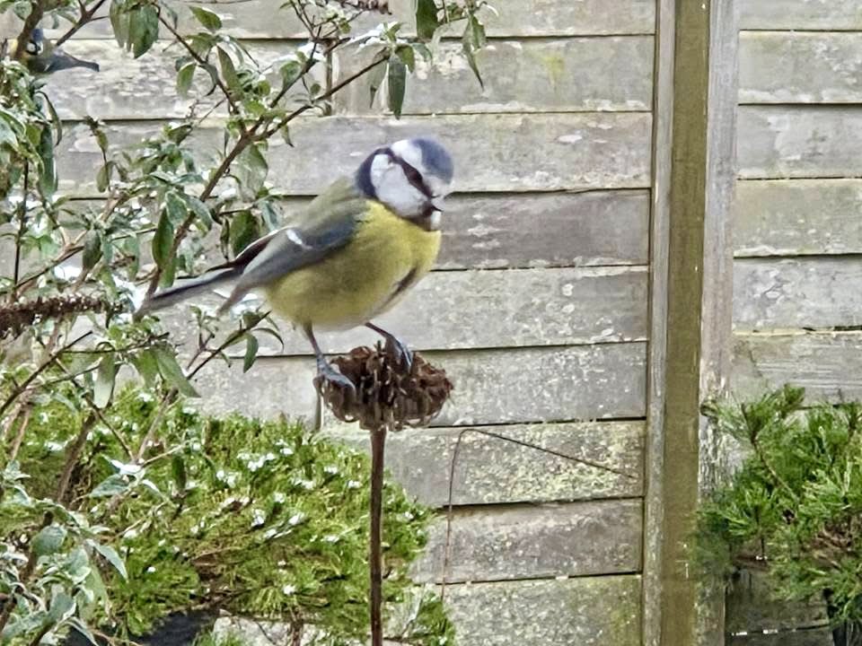 Fup Boon tweet media