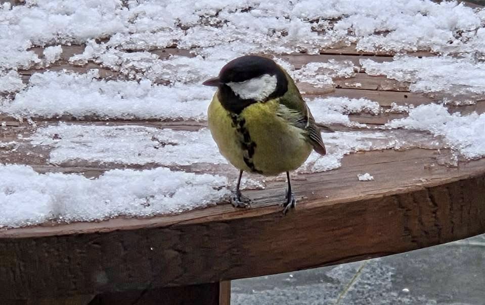 Fup Boon tweet media