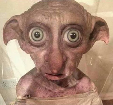 Começando a acreditar no mau-olhado que me colocaram no domingo