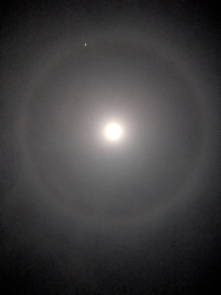 AnbreenQ's tweet photo. Moon right now in Pakistan. First time in my life. A beautiful exact round light around the moon. Watch it.
#IranMassacre #MoonBirds #MoonInPakistan #IranRevolution2026 #PTI #ImranKhanHealthfirst https://t.co/4Y1YLxY4Sl