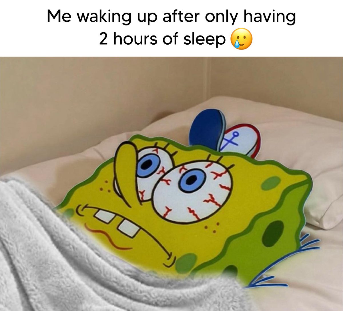imrlsahil's tweet photo. Only 2 hours sleep 😵‍💫..... https://t.co/9lHIlXwQzb