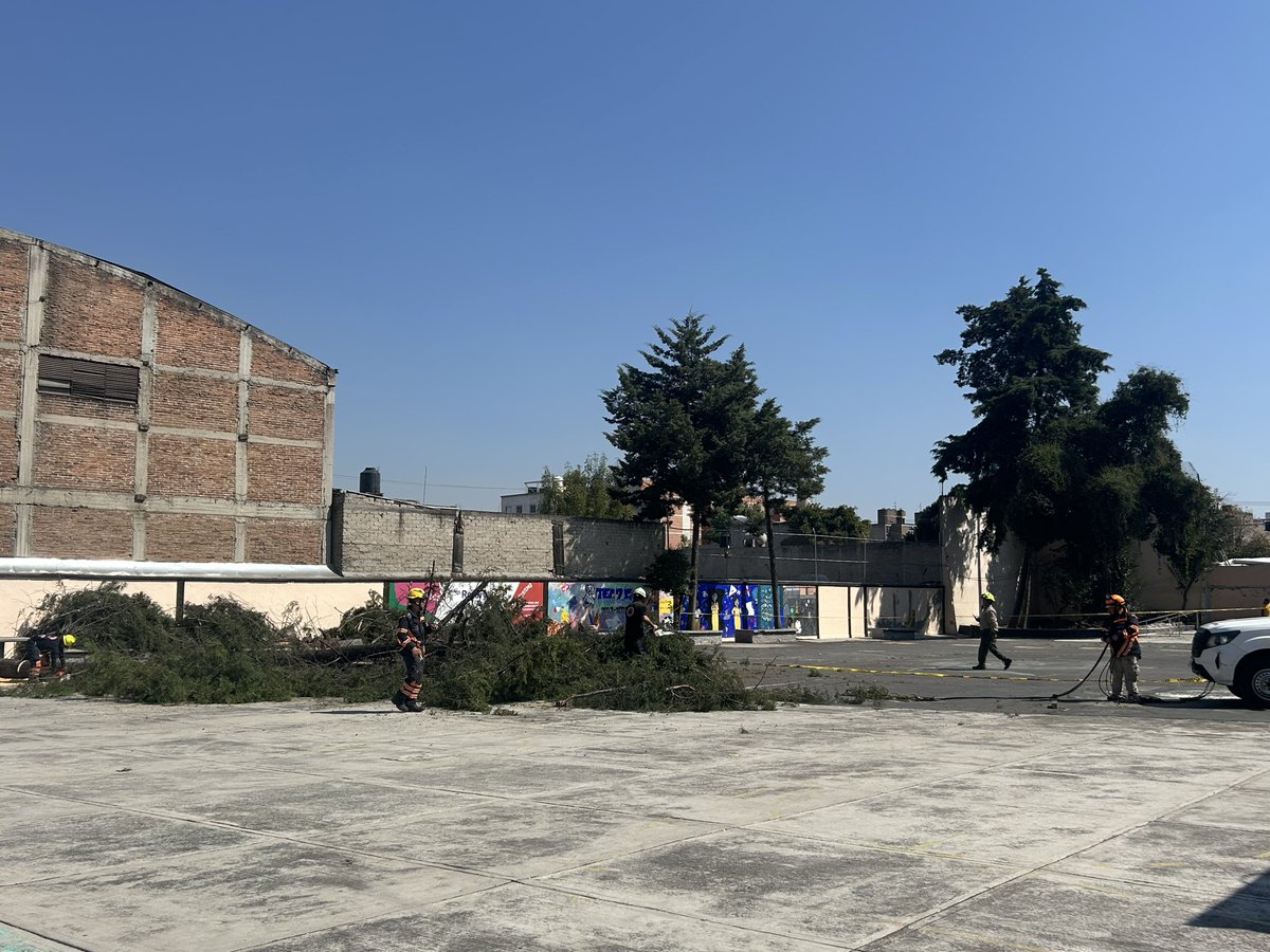 taniuska5's tweet photo. Gracias al alcalde y al concejal  la pronta respuesta en la secundaria técnica 26 en la miguel hidalgo para la poda de árboles 
@OscarMunguiaFr 
@mauriciotabe 
@SEMARNAT_mx 
@aefcm 
@ConcheirLuciano 
@AlcaldiaMHmx https://t.co/qVy0F7x3eT