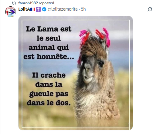 FuturprocheX's tweet image. Amusant ce post de la part quelqu'un bloque tout le monde des que ça convient pas et qui crache en dm pour faire le sale boulot à sa place . #Vécu