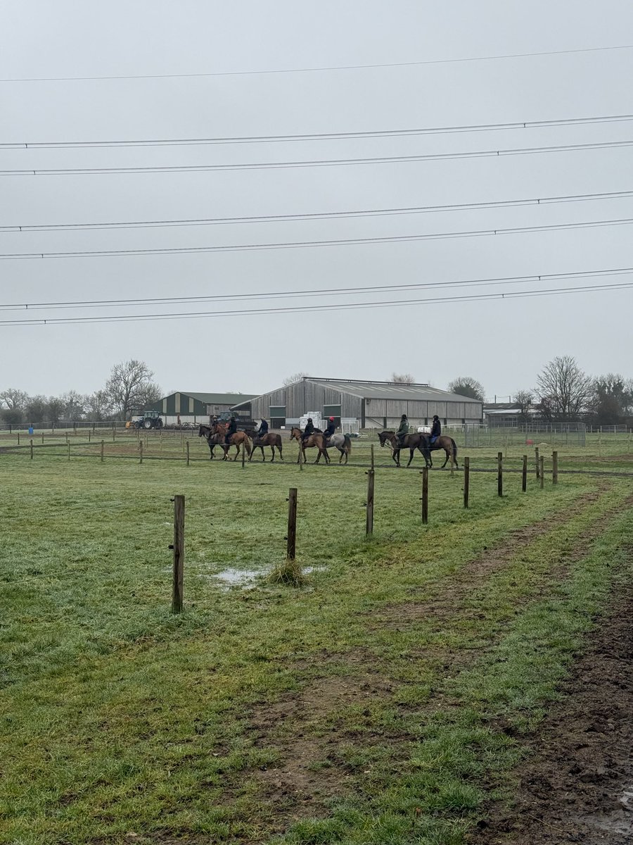 ThomasEllis97's tweet photo. Great to visit the @sedmundsracing team again - even if it was early in the morning 🥱

Class facilities and some very talented horses. 

Hopefully plenty of winners mentioned in the video! 👇 https://t.co/Gvrj9Tk4Tq