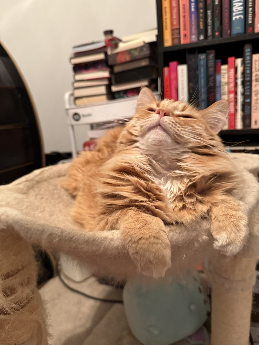 MEEBO on BSky tweet media