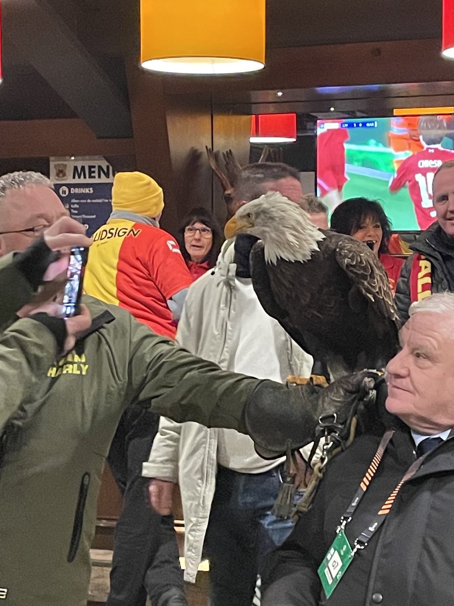 Harley is ook aan de warming up begonnen ⁦<a href="/GAEagles/">Go Ahead Eagles 🦅</a>⁩