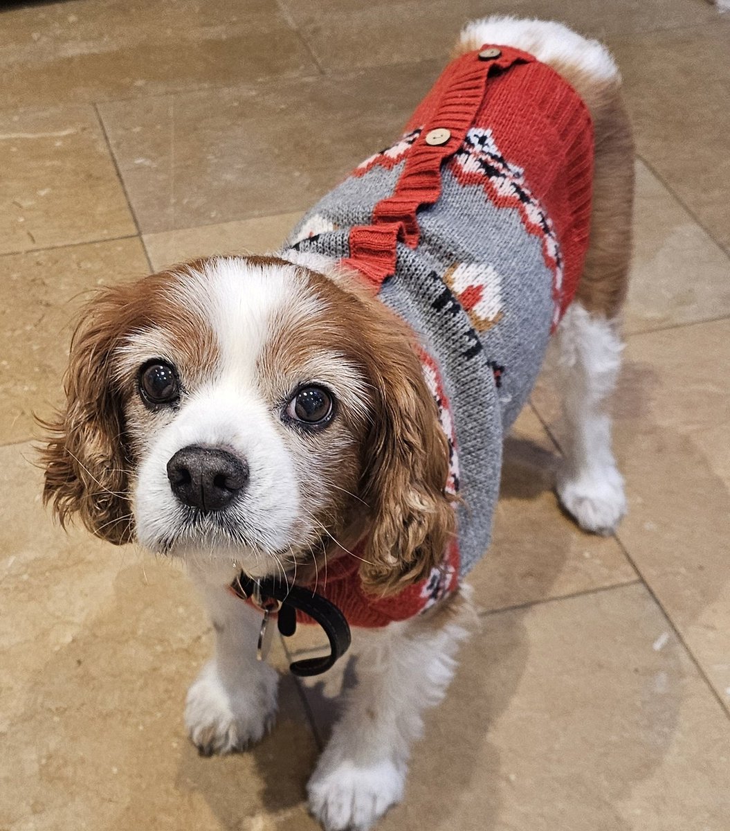 Rosie Duffield MP tweet media