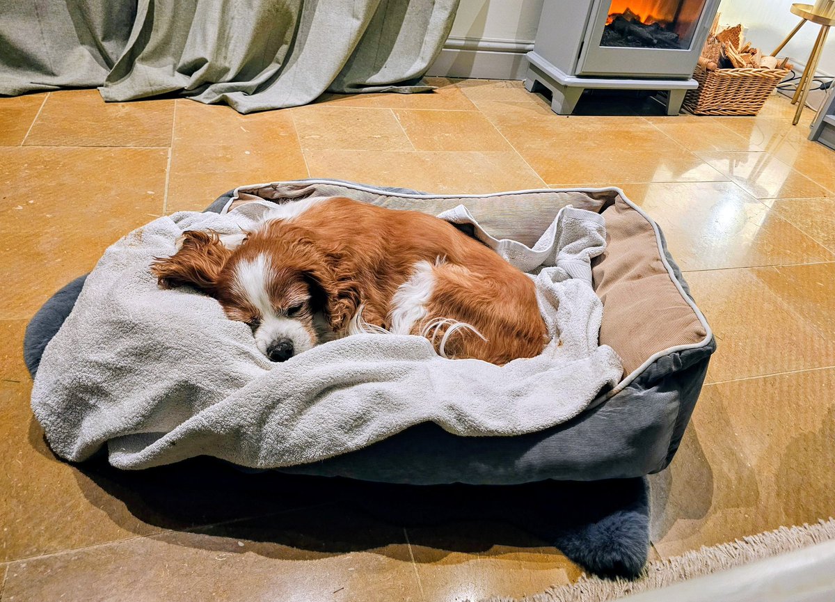 Rosie Duffield MP tweet media