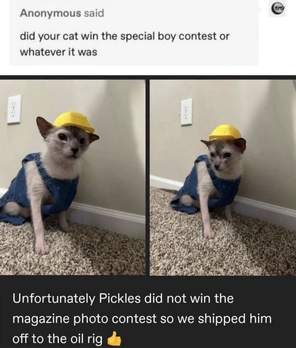 RespectfulMemes's tweet image. 