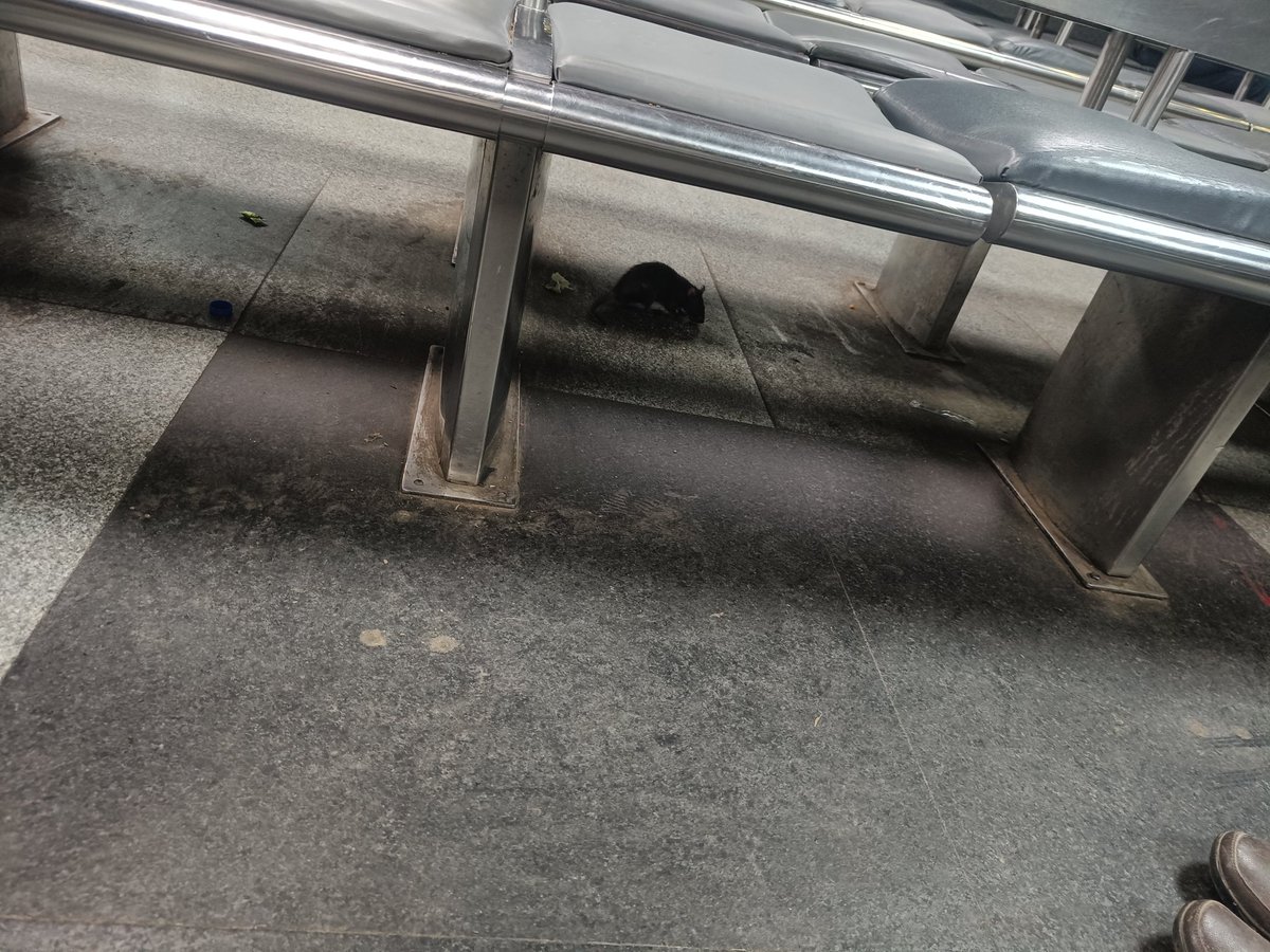 Rohit Gupta tweet media