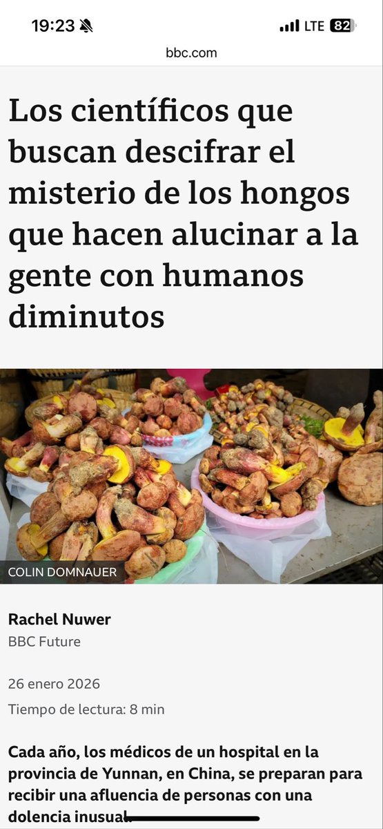 DoPaiRa's tweet photo. Trabubus de AliExpress https://t.co/dybBSTSVl9