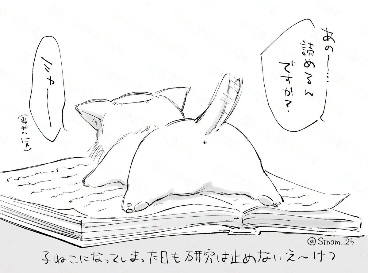 🐈📖🐾 