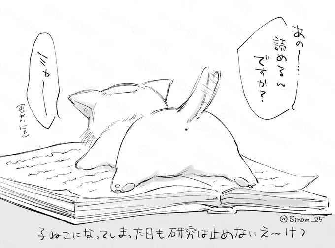 🐈📖🐾 