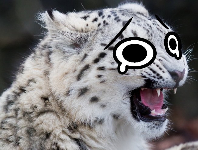 the shit I see on my fyp sometimes makes me feel like this