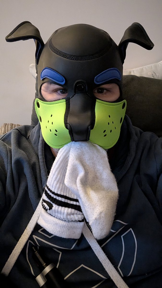 Pup SNEAX 🐶🐾 (@pup_sneax) on Twitter photo 