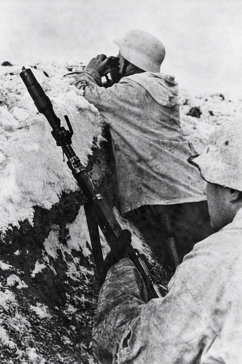 StalingradDailyDiary tweet media