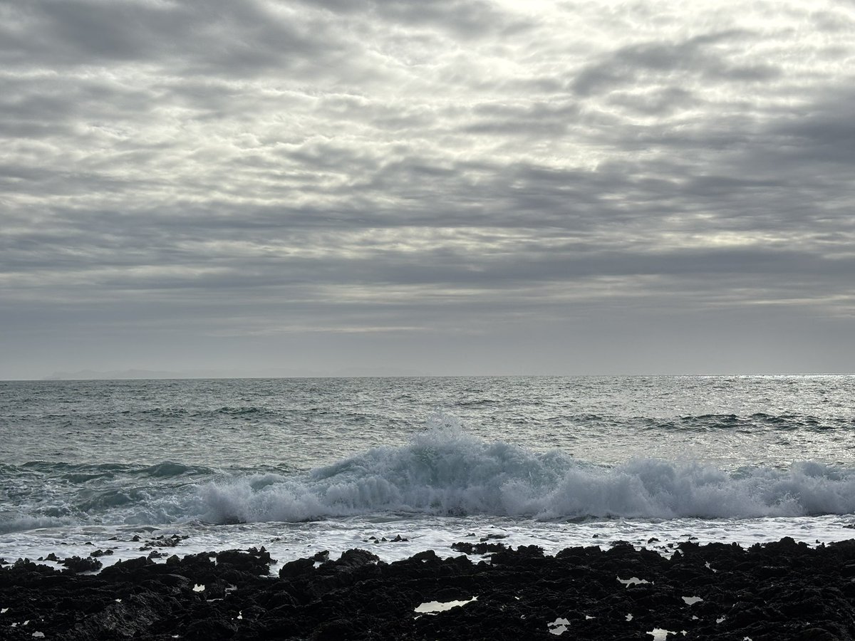 Never Strays Far tweet media