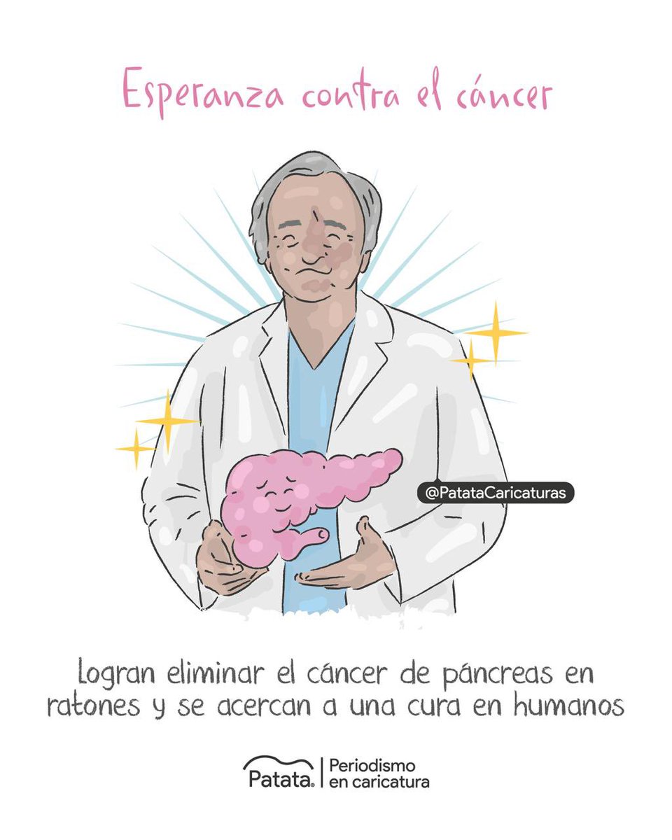 🦠👏🏽 Cada vez más cerca de una esperanza contra el cáncer con el equipo de Mariano Barbacid.
🧵
