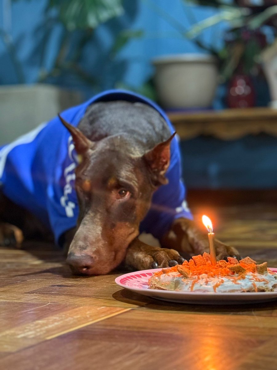 Laura González 👸🏽 tweet media