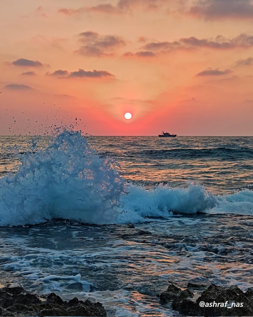 Ashraf Nasrallah tweet media