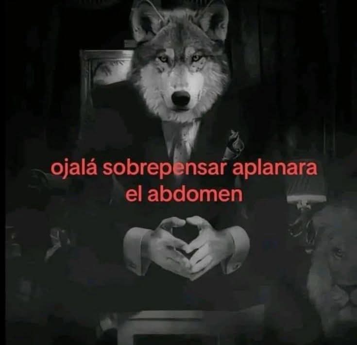 angelo_uf's tweet image. 