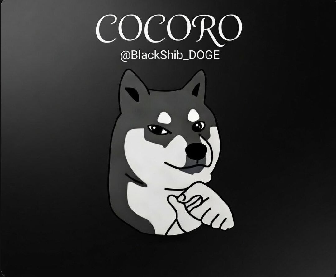 WhaleCocoro's tweet image. Hmmmm maybe, but Cocoro never give up!