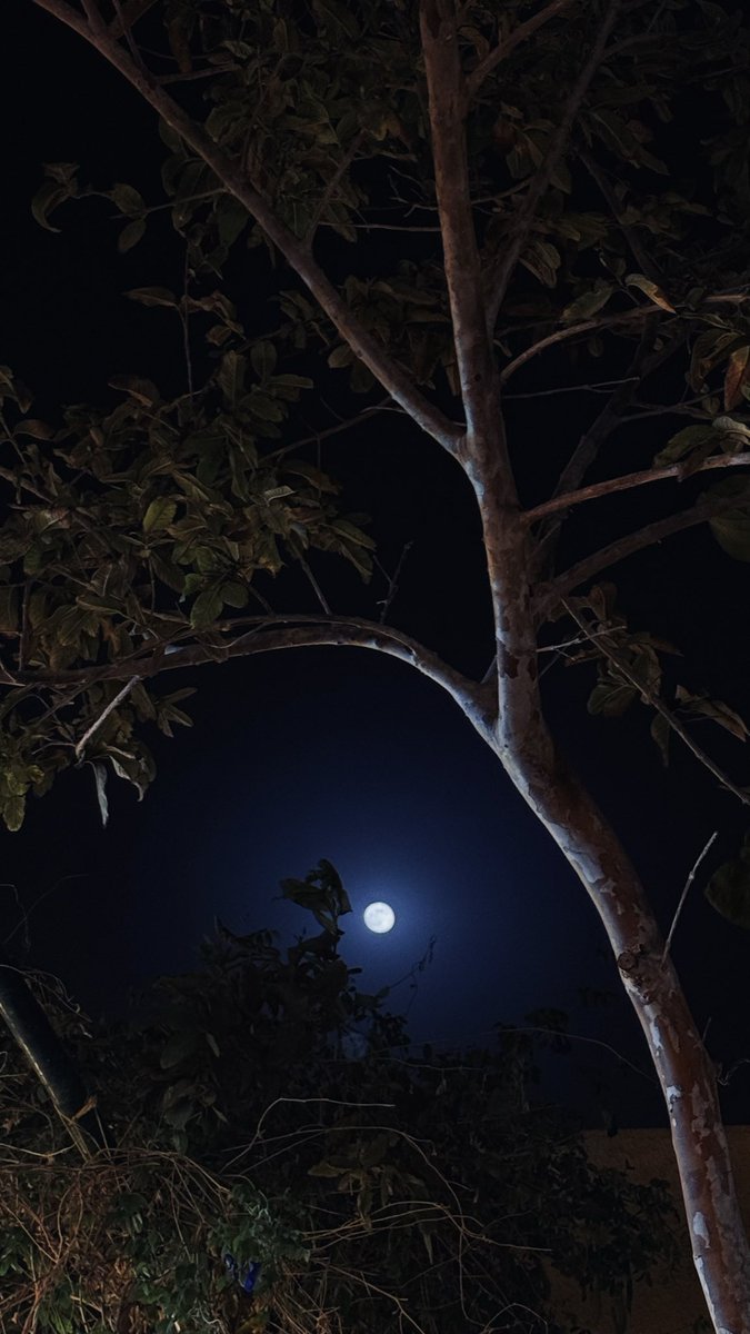 Rym_3_'s tweet photo. "قمر تجلى في الظلام الأدهم " 🌑 https://t.co/M5uhVO4Q3i