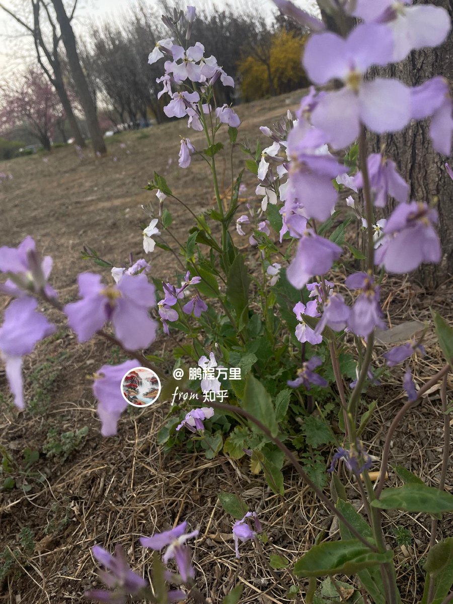 kenneth22414888's tweet image. "When the wall feels too high, remember: every brick is a step you’ve already laid. Climb—you’re closer than you think.  #BreakthroughChallenge"