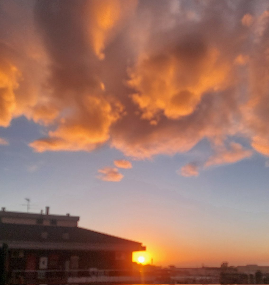 Maria Lea tweet media