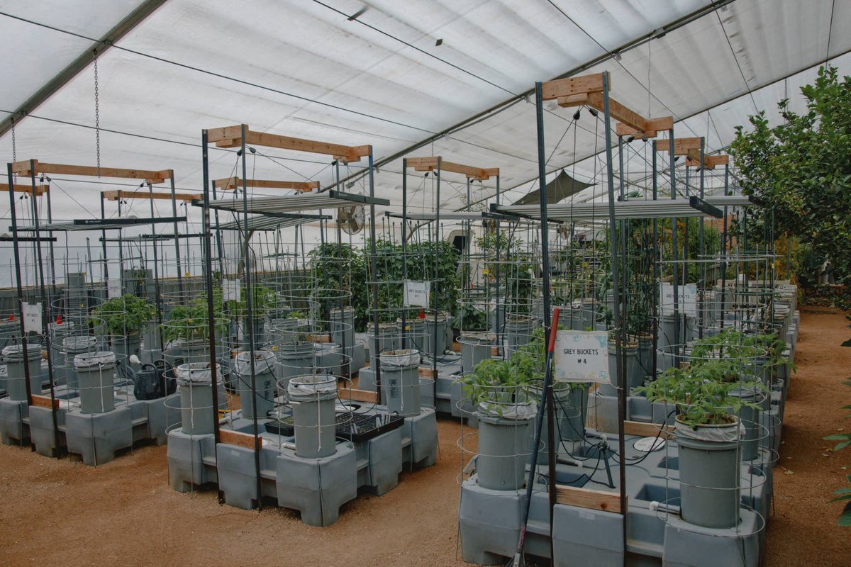 Selfless Love FDN tweet media